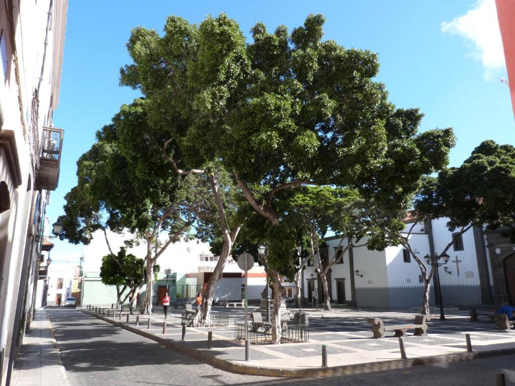 La Casa De Vegueta Apartment Las Palmas de Gran Canaria Exterior foto